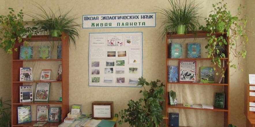 Основное изображение для учреждения Курятмасовская сельская модельная библиотека