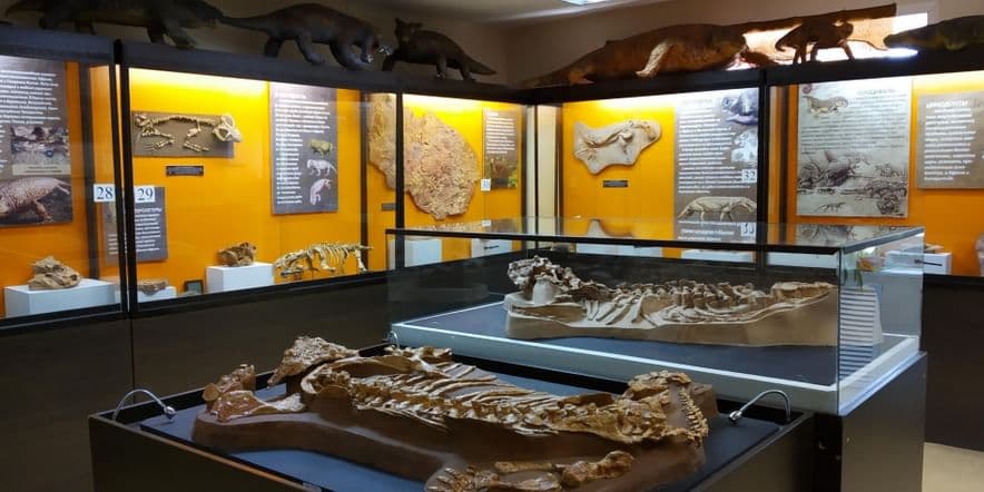 Основное изображение для учреждения Котельничский палеонтологический музей
