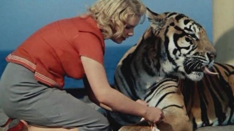 Кадр из художественного фильма Владимира Фетина «Полосатый рейс» (1961)