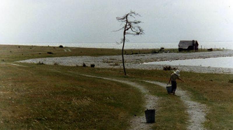 Кадр из фильма «Жертвоприношение»