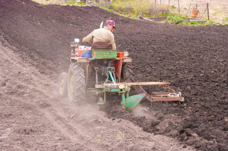 Мужчина на маленьком тракторе пашет огород