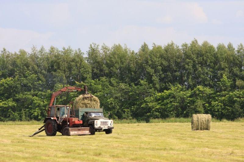 Уборка сена