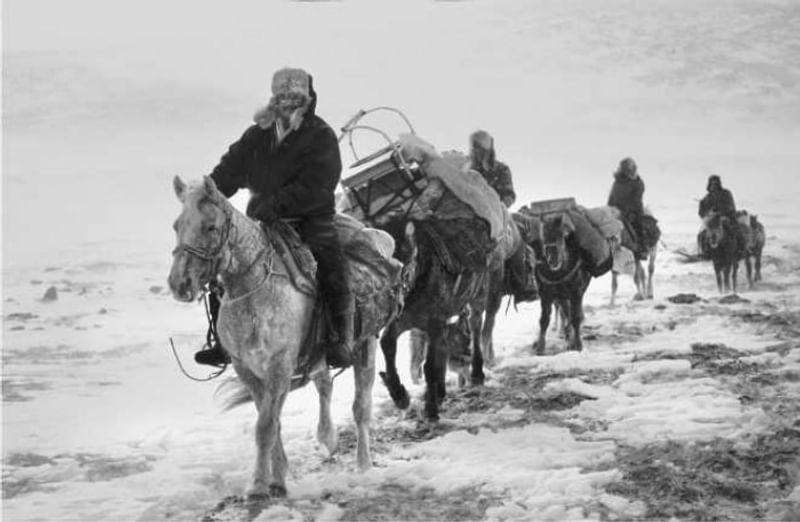Весенняя перекочевка