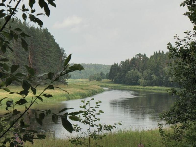 Виды Василево