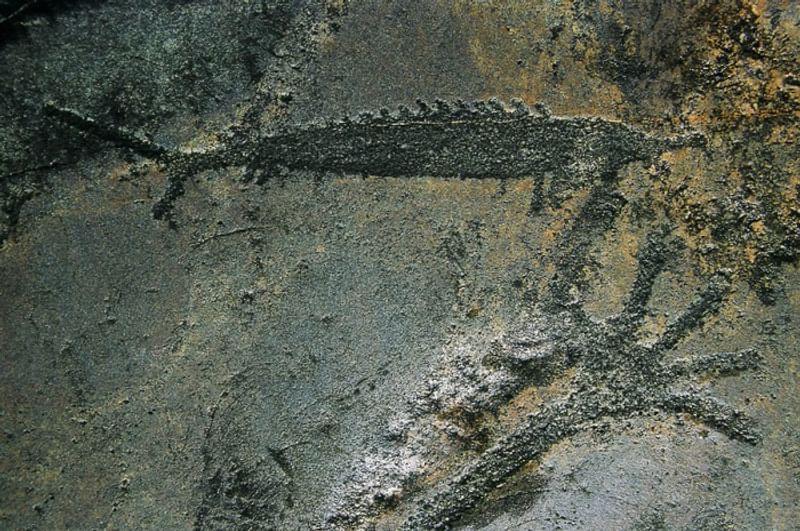 Карелия. Онежские петроглифы. Щука.