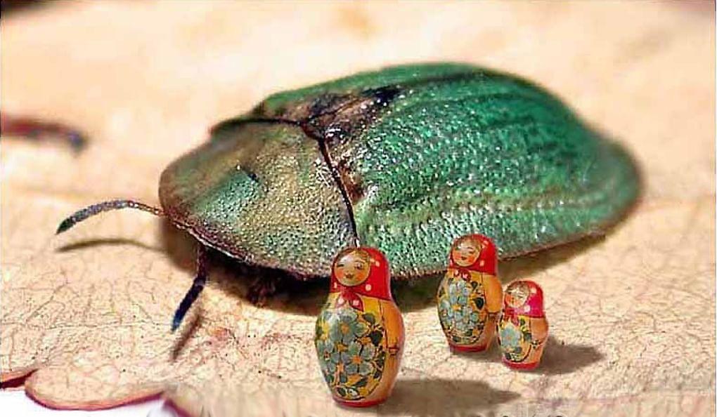 Миниатюрные матрешки Анатолия Коненко