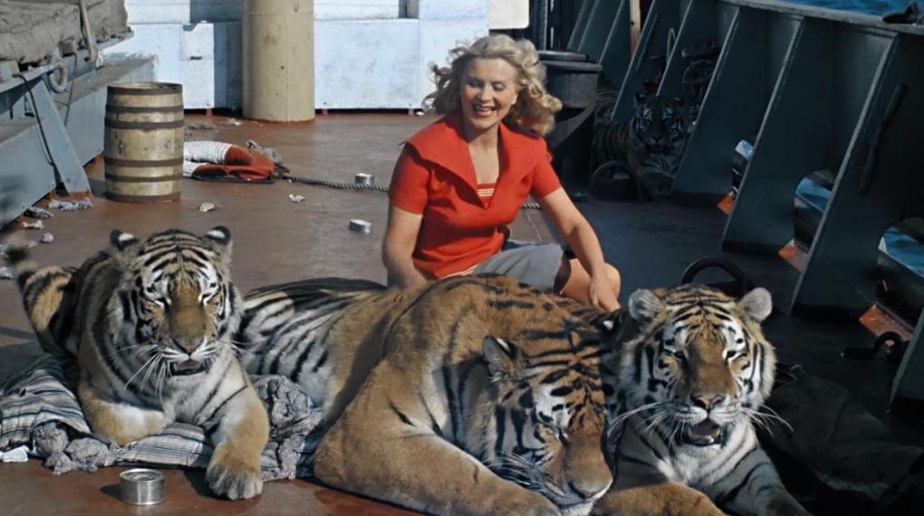 Кадр из фильма «Полосатый рейс» 