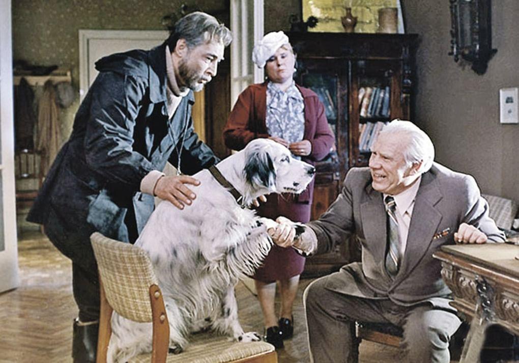 Кадр из фильма «Белый Бим Черное ухо»