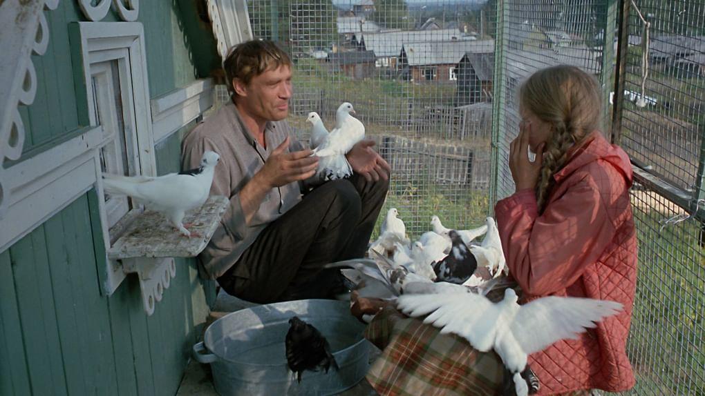 Кадр из фильма «Любовь и голуби» (1984)
