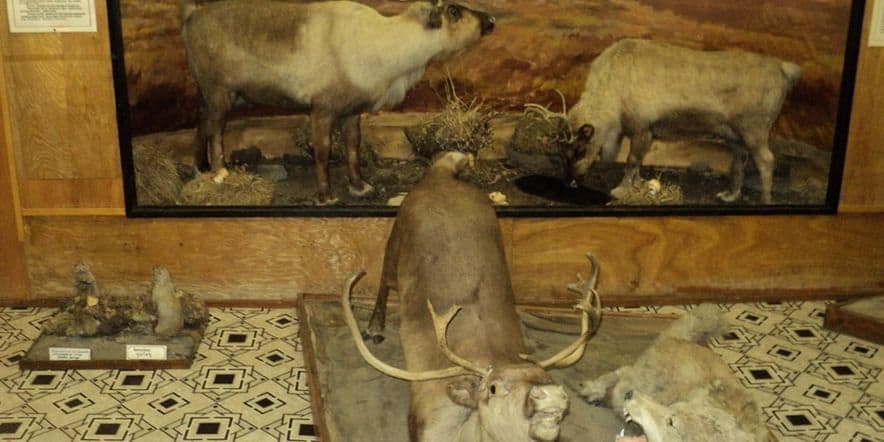 Основное изображение для учреждения Краеведческий музей с. Лаврентия