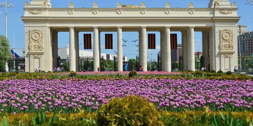 Основное изображение для учреждения Центральный парк им. Горького