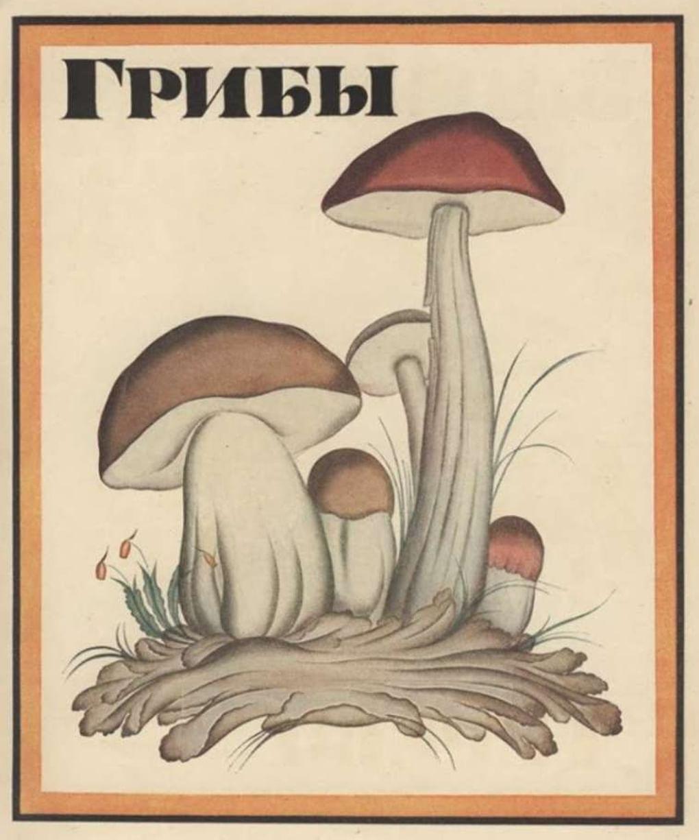 Азбука Владимира Конашевича. Петербург, издательство Товарищества Р. Голике и А. Вильборг. 1918