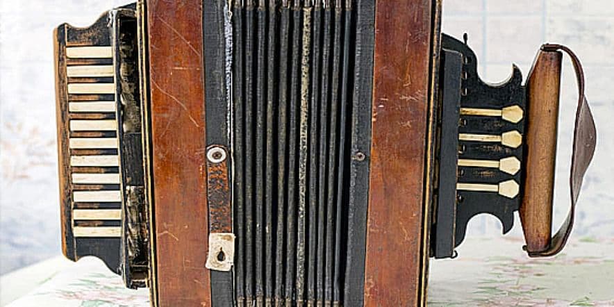 Основное изображение обзора объекта "Технология изготовления елецкой рояльной гармоники"