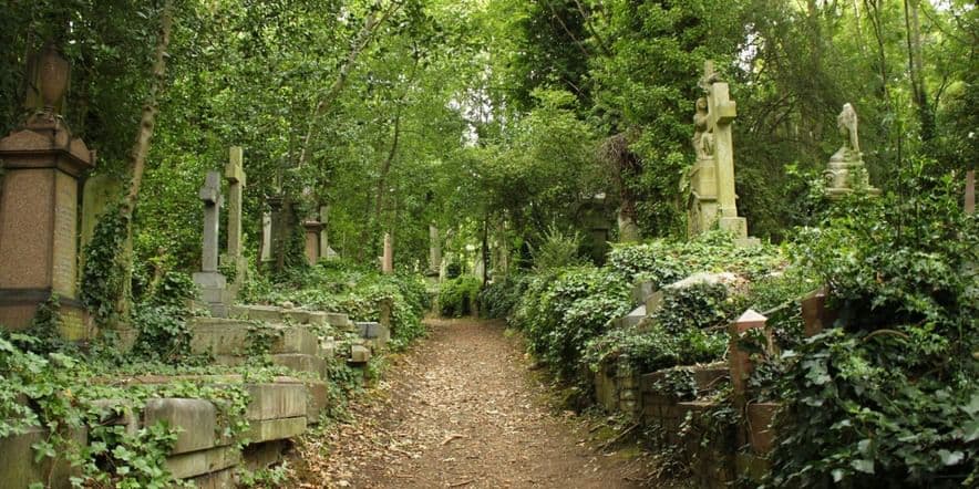 Основное изображение обзора объекта "Хайгейтское кладбище в Лондоне"