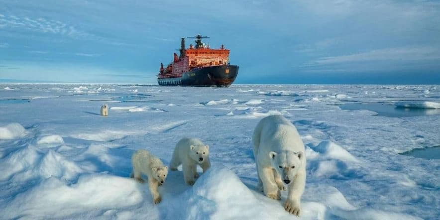 Основное изображение для события «Дыхание Арктики»