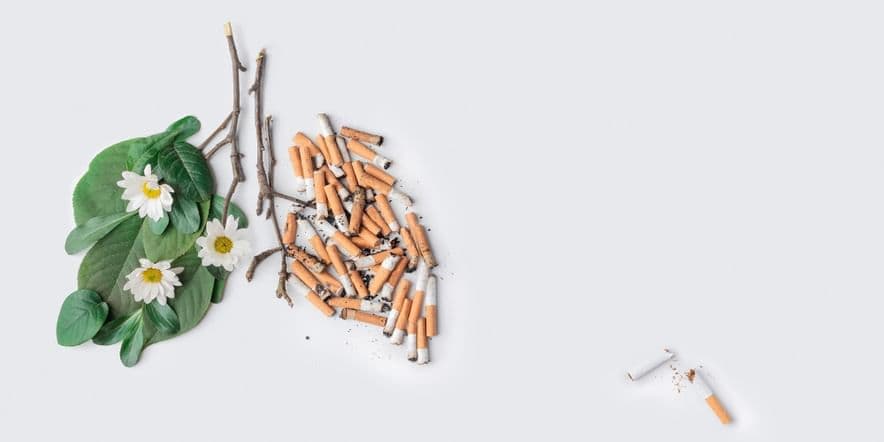 Основное изображение для события «Сэламэт сулыш»–круглый стол о вреде табака