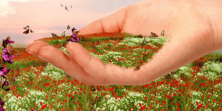Основное изображение для события «Цветы — бесценный дар природы», мастер-класс
