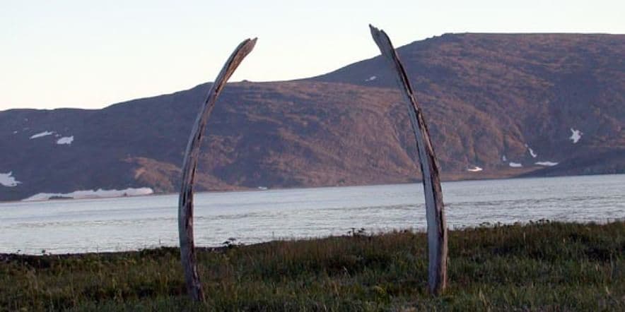Основное изображение обзора объекта "«Китовая аллея» (Сиклюк) в Чукотском автономном округе"