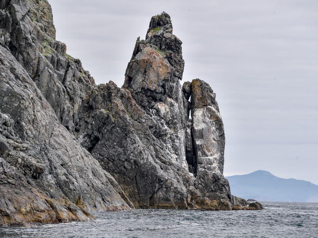 Сихотэ-Алинский государственный природный биосферный заповедник им. К.Г. Абрамова, Приморский край. Фотография: Юрий Смитюк / ТАСС