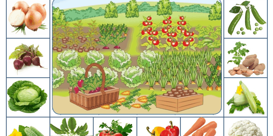Основное изображение для события «Сад и огород, что в нём растёт»Познавательная программа