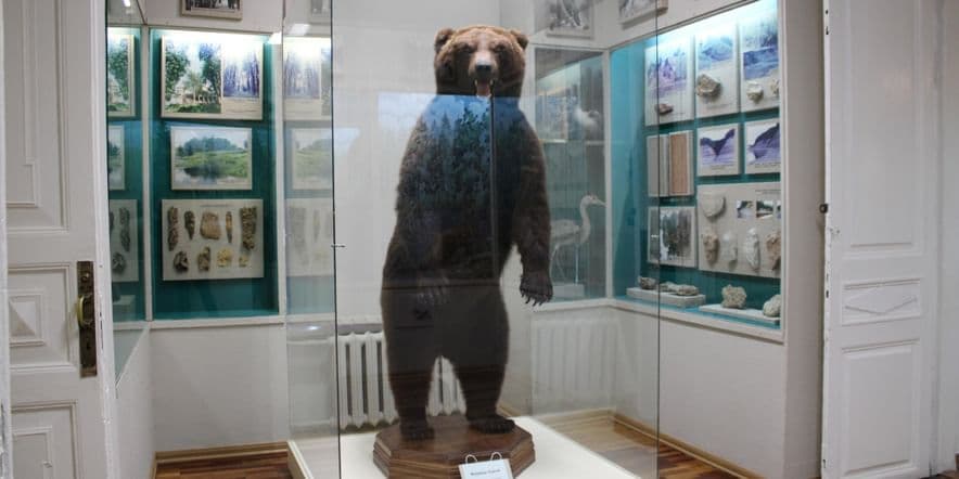 Основное изображение для события Экспозиция «Природа и история Вологодского края»