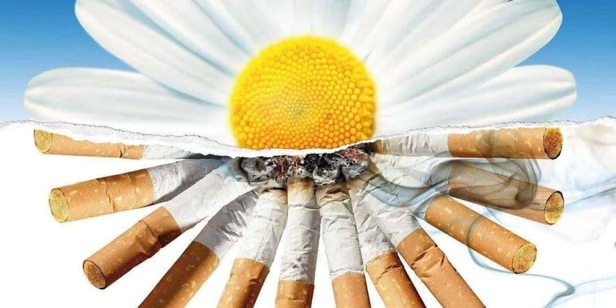 Основное изображение для события Час здоровья «Жизнь прекрасна без сигарет»