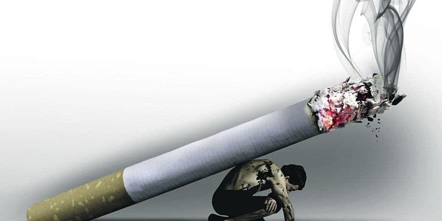 Основное изображение для события Просветительская программа «Губительная сигарета»
