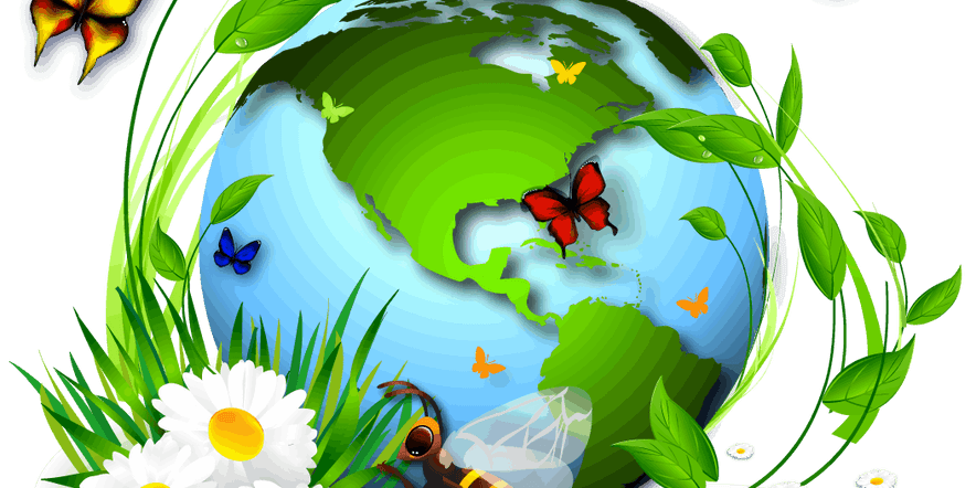 Основное изображение для события Зачарованный мир бабочек