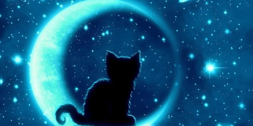 Основное изображение для события Полнокупольная программа «Путеводные звёзды & Кошки Китц: СуперЛунное приключение»