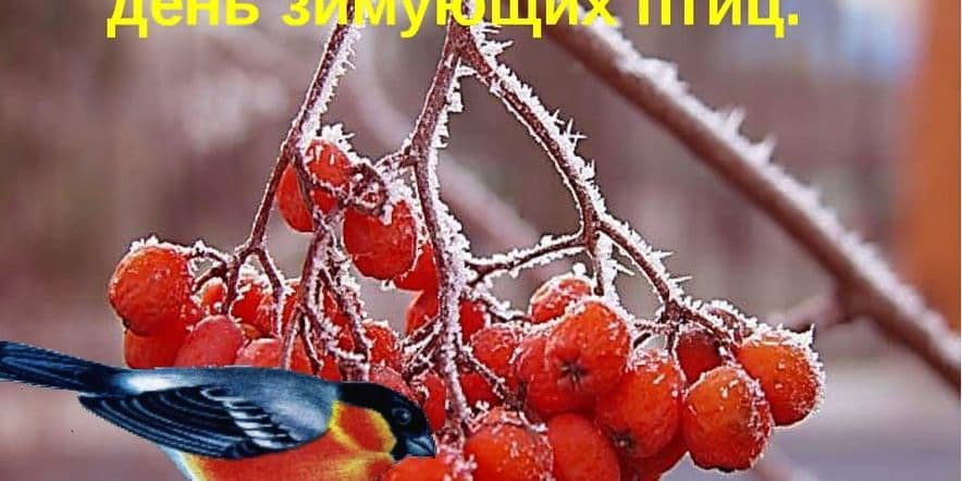 Основное изображение для события «Покормите птиц зимой»