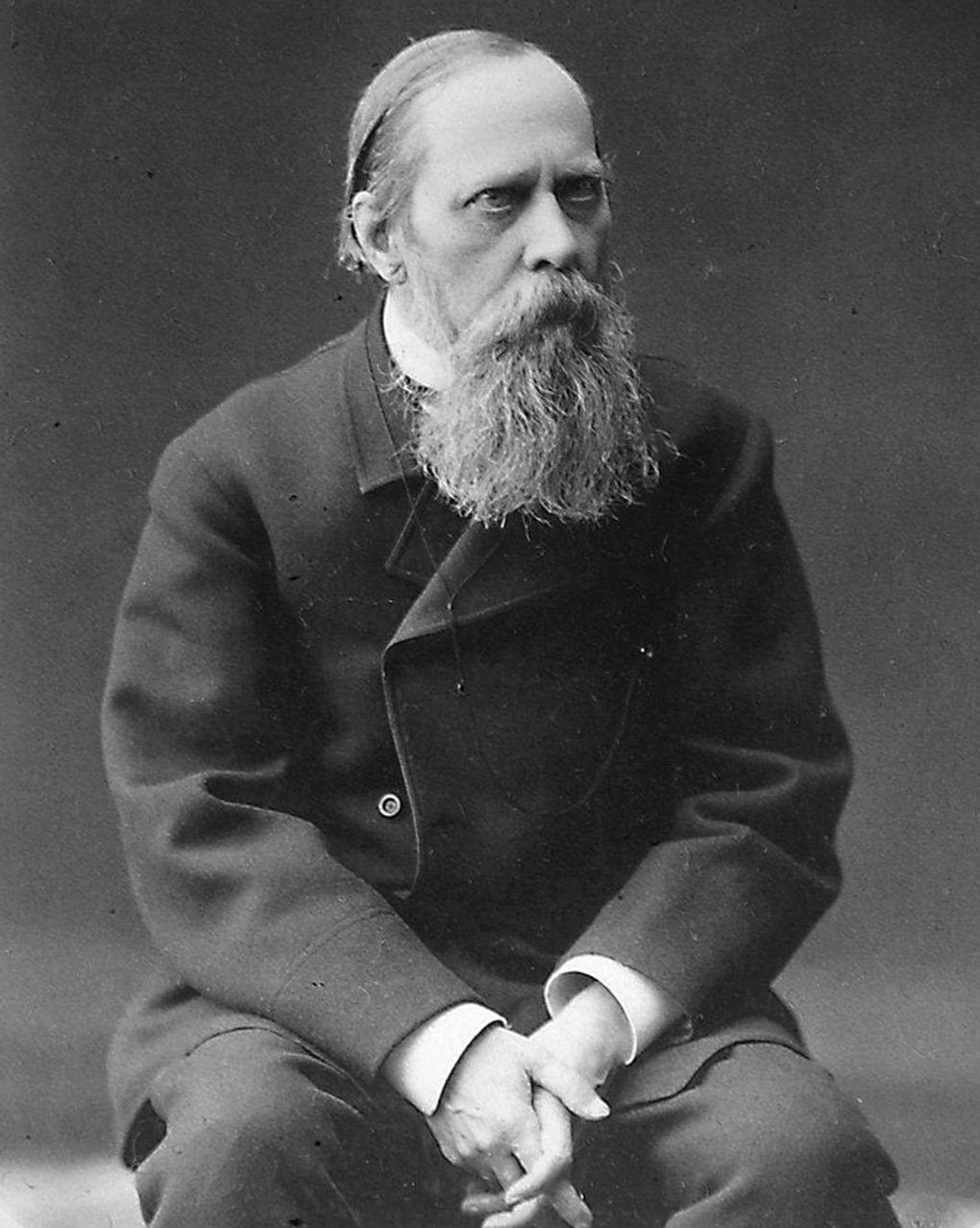 Михаил Салтыков-Щедрин. 1885 год. Фотография: Государственный музей истории российской литературы имени В.И. Даля (Государственный литературный музей), Москва
