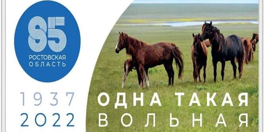 Основное изображение для события «Ростовская область, с тобою по жизни идём, сквозь года»
