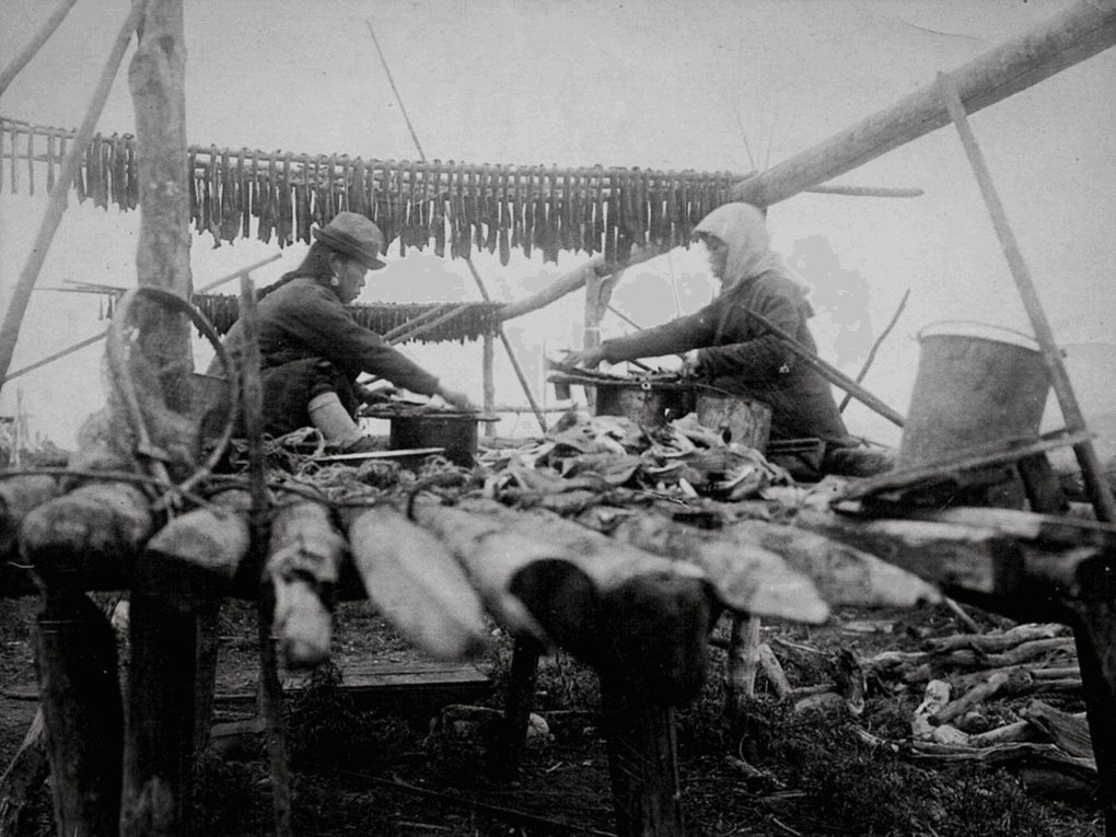 Две нивхские женщины перебирают сушеную юколу. 1930-е. Сахалинский областной краеведческий музей, Южно-Сахалинск