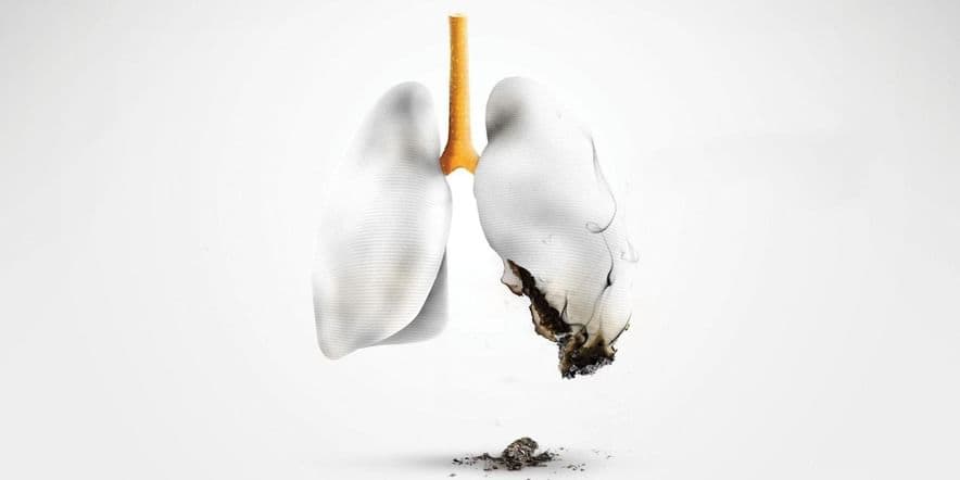 Основное изображение для события Выставка-предупреждение «Курению — нет!»