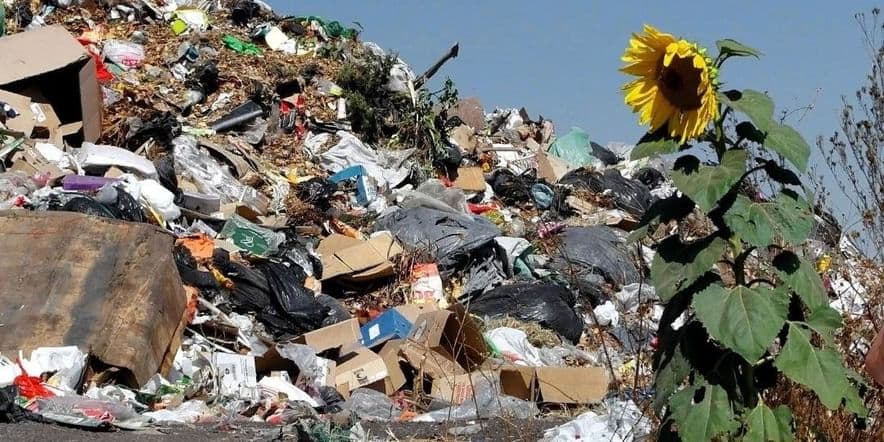 Основное изображение для события Спектакль «Как кузнечик Кузя спасает планету от мусора»