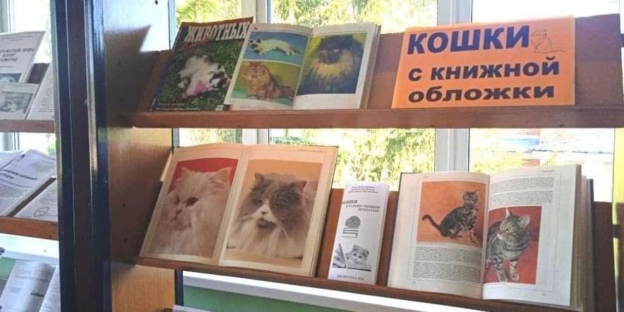 Основное изображение для события «Кошки с книжной обложки»–книжная выставка