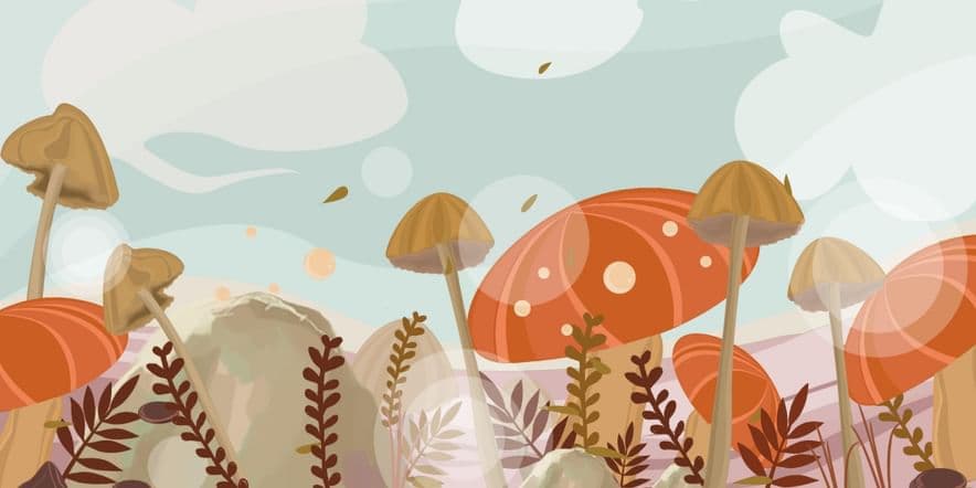 Основное изображение для события Беседа «Что ты знаешь о грибах?»