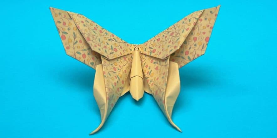 Основное изображение для события Мастер-класс для рукодельников «Бабочка из бумаги»