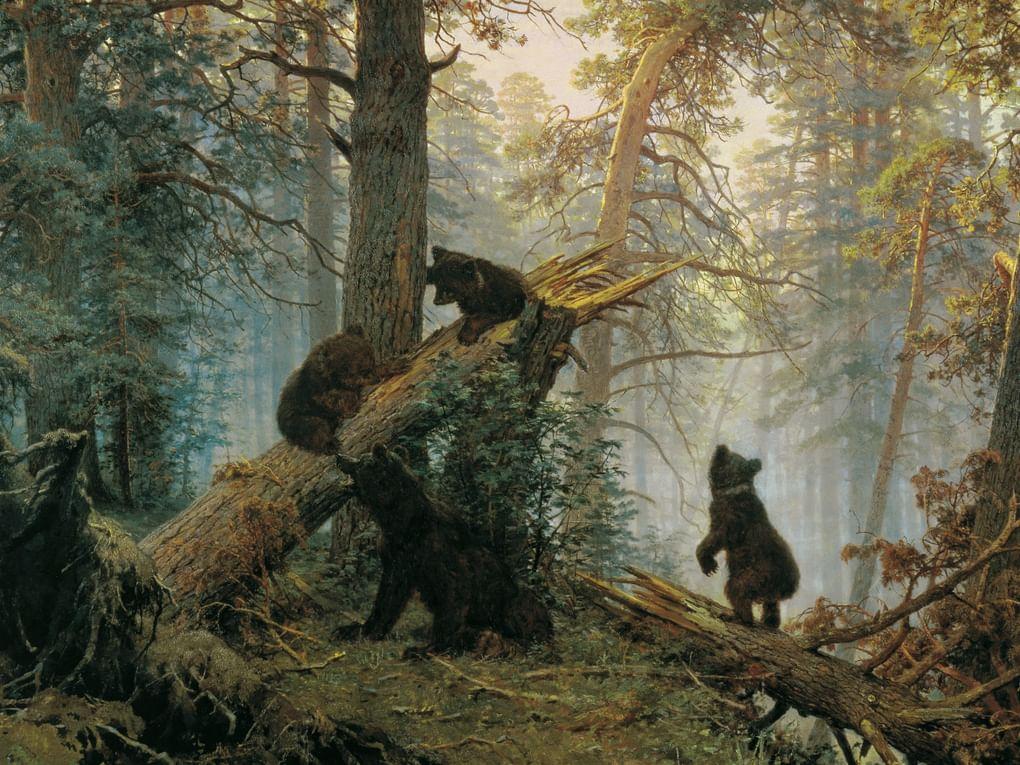 Иван Шишкин. Утро в сосновом лесу (фрагмент). 1889. Государственная Третьяковская галерея, Москва
