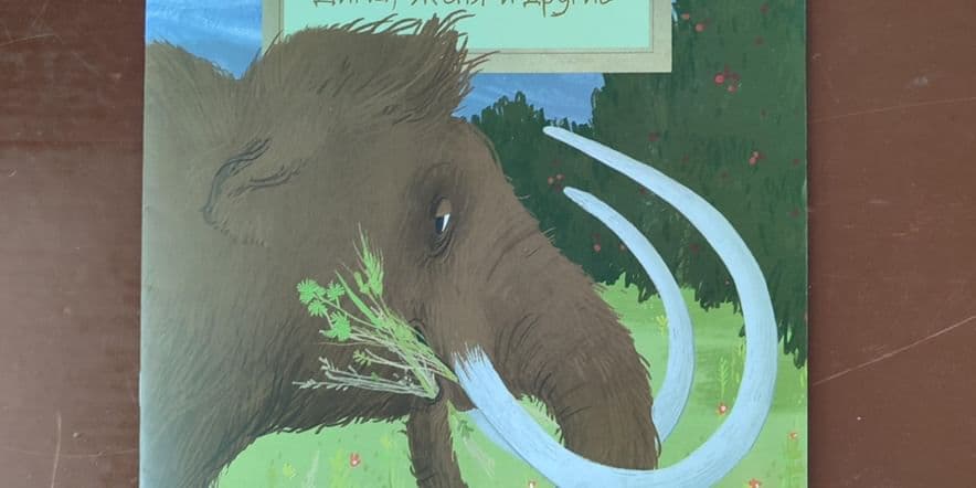 Основное изображение для события Познавательный час «Кто он? Всего лишь большой лохматый слон?»