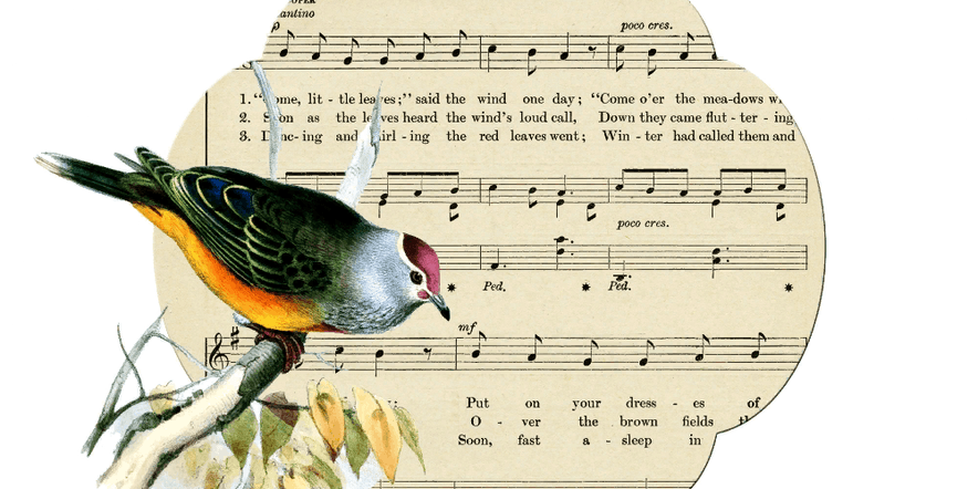 Основное изображение для события «Сорока, кукушка и прочие птицы в музыке»