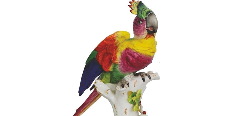 Основное изображение для события Выставка «100 попугаев»