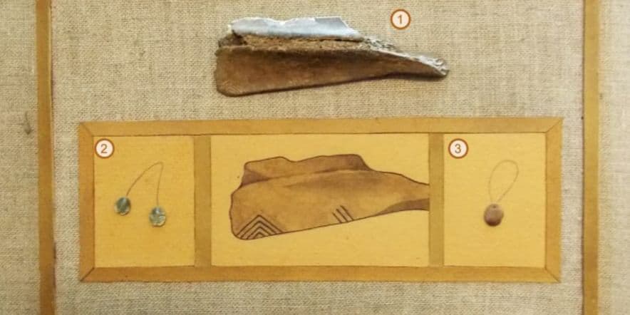 Основное изображение для учреждения Музей Музей археологии и этнографии ОмПГУ