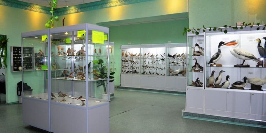 Основное изображение для учреждения Выставочный зал Кировского городского зоологического музея на ул. Советской
