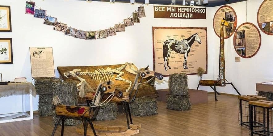Основное изображение для события Выставка «Лошадь. Equus. Hippos.» (г. Саратов)