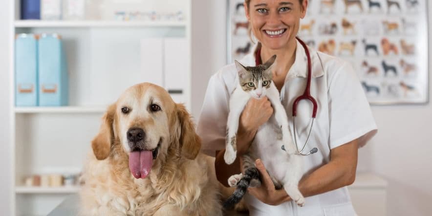 Основное изображение для события «Почетно быть ветеринарным врачом»