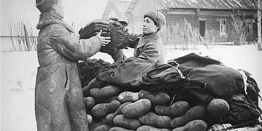 Основное изображение для события Экскурсия «1941–1945. Дергачевцы на фронте и в тылу»