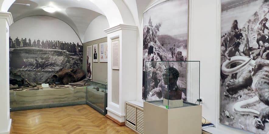 Основное изображение для события Выставка «Эпоха камня на территории Томско-Нарымского Приобья»