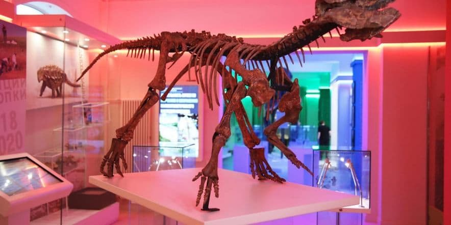 Основное изображение для события Экскурсия «Динозавровая фауна Кузбасса»