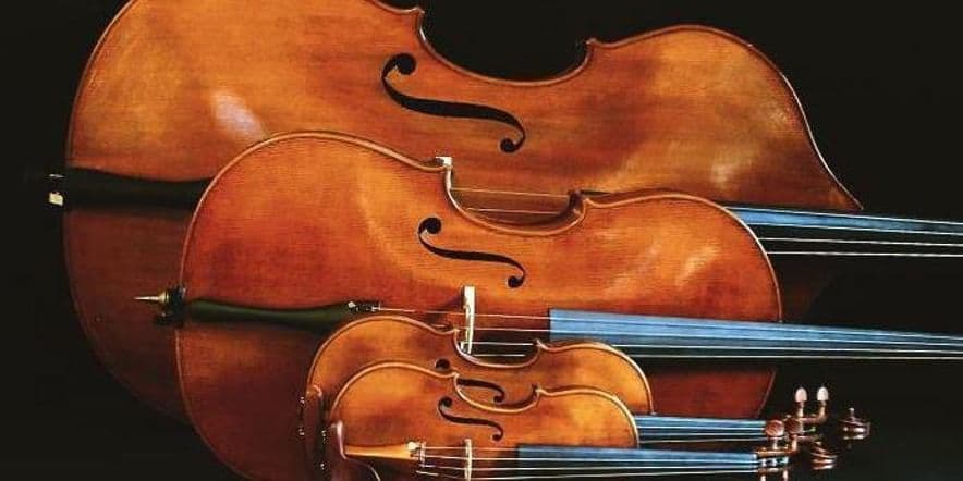 Основное изображение для события Мастер-класс «Начальные этапы самостоятельного изучения скрипки»